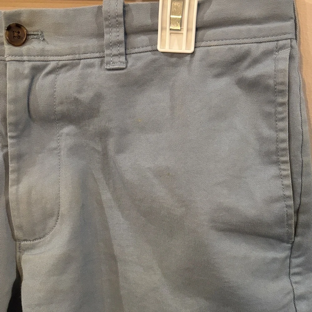J. Crew Light Blue Flat Front Shorts 9